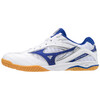 Mizuno_Wave_Drive_8_Blue.jpg