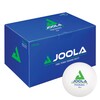 Joola_Training_40+_Balls.jpg