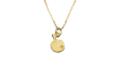 necklace_gold_small_z1.png