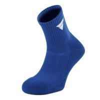 V-Socks512_blau.png